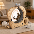 🐱 Roue d’Activité 6-en-1 pour Chat – Roue de Course Silencieuse & Aire de Jeu Multifonction