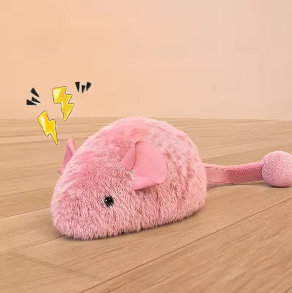 Jouet Interactif pour Chat avec Couinement – Peluche à Mâcher & Simulation de Chasse