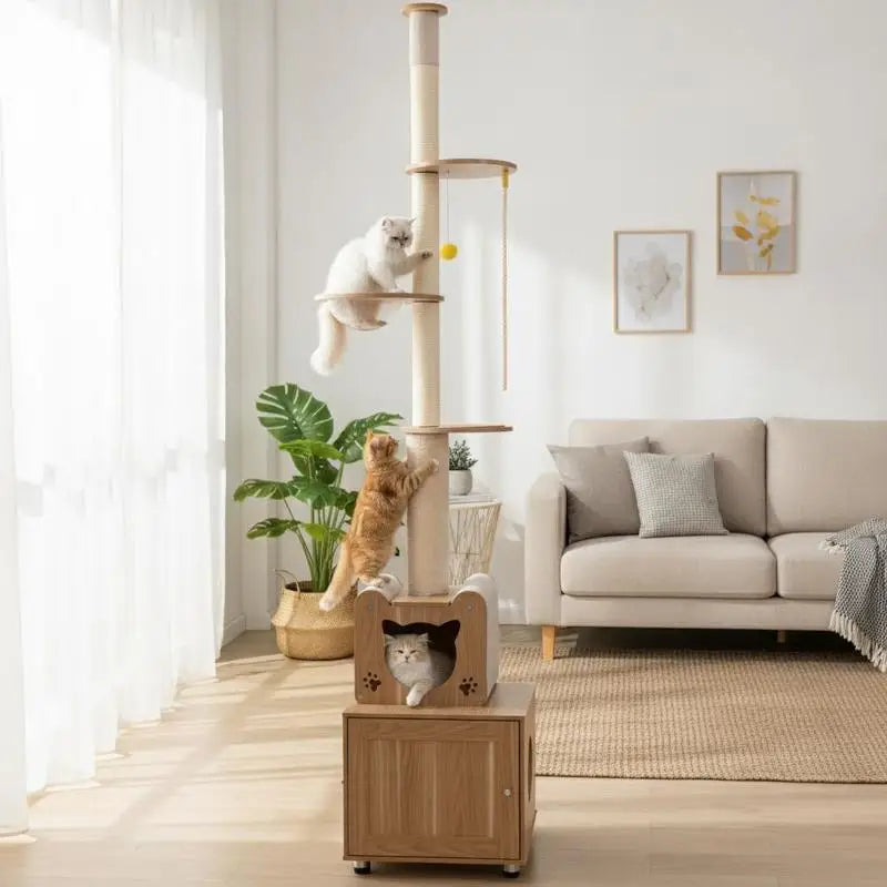 🐱 Arbre à Chat 101" du Sol au Plafond – Tour Réglable avec Enclos & Aire de Jeu