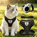 Harnais Anti-Évasion pour Chat avec Laisse – Ensemble 3 Pièces Respirant pour Promenade